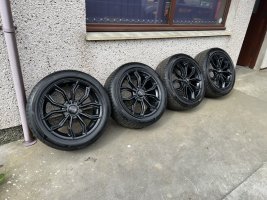 IMG_1508.jpeg