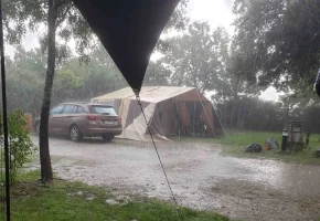 Rain.webp