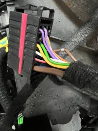 IMG_1974.jpeg