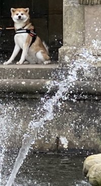 IMG_0402.jpeg