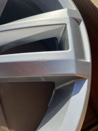IMG_3464.JPG