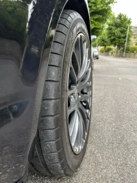 IMG_4323.jpeg IMG_4323.jpeg