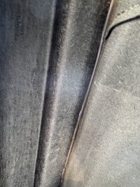 IMG_9889.jpeg