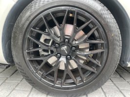 IMG_3192.jpeg