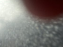 A4030BF1-297A-4695-8772-F3AFA147E7F7.jpeg