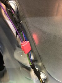IMG_4771.jpeg