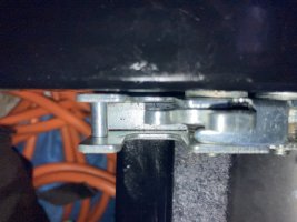 IMG_4772.jpeg