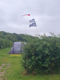 20230722_175210.jpg