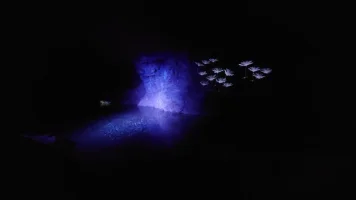 20230716_120447.JPG 20230716_120447.JPG