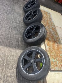 IMG_8213.jpeg