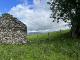IMG_4241.jpeg
