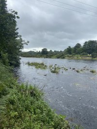 IMG_4203.jpeg
