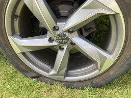 IMG_2693.jpeg