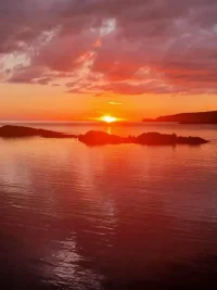 20220728_214539.webp