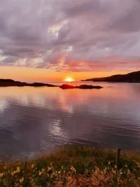 20220728_214545.webp