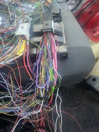 IMG_3450.jpeg