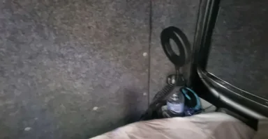 1693558446044.webp