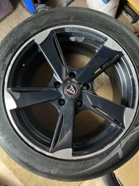IMG_4389.jpeg IMG_4389.jpeg