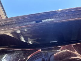 IMG_4698.jpeg