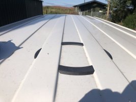 IMG_2142.jpeg