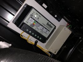 IMG_4316.jpeg IMG_4316.jpeg