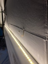 IMG_7636.jpeg