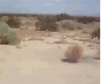 1696018696850.gif
