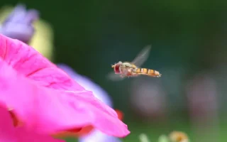 IMG_5243(01).webp IMG_5243(01).webp