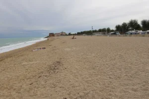 002.webp