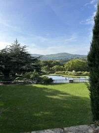 IMG_3717.webp IMG_3717.webp