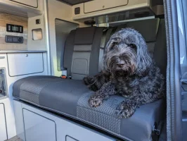 PXL_20231107_105520101.webp