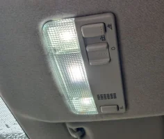 IMG_20231118_111550.webp