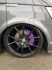 IMG_7207.jpeg