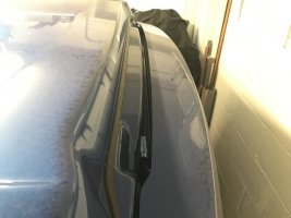 IMG_0903.jpeg
