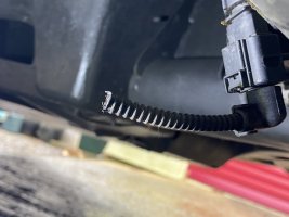 IMG_1001.jpeg