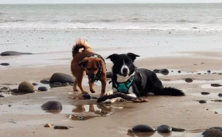 Murph n Tia (3).webp