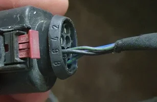 Plug.Back.webp