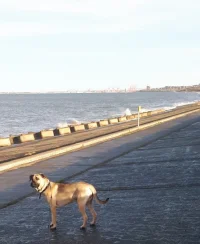 20231216_175602.webp