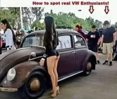 1703799479631.webp
