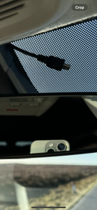 IMG_0736.png