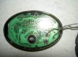 PICT1752320x200.jpg