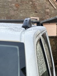 IMG_1831.jpeg