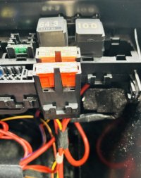 IMG_7088.jpeg