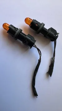 bulbs.webp