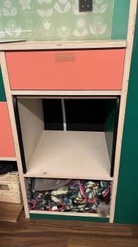 IMG_3974.jpeg