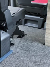 Carpet 2.webp