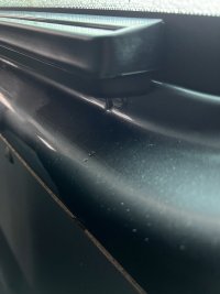 IMG_3382.jpeg
