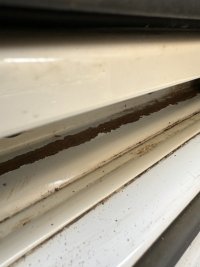 IMG_5395.jpeg