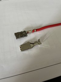 IMG_4529.jpeg