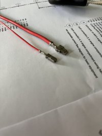 IMG_4536.jpeg
